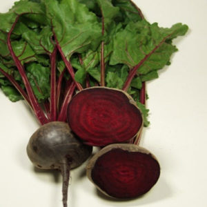 Betterave 'Rouge Bolivar' (6 mottes)