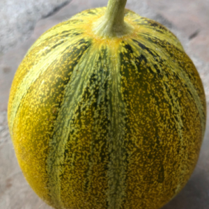 Melon Ogen