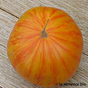 Tomate 'Copia'