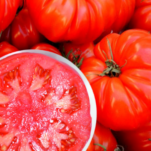 Tomate 'Marmande'
